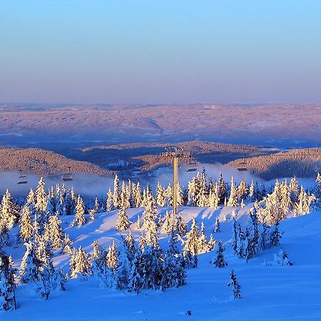 Sjusjoen Hytteutleie As Exteriér fotografie