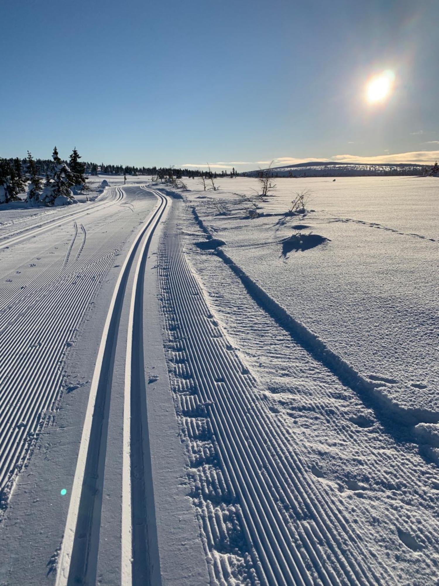 Sjusjoen Hytteutleie As Exteriér fotografie